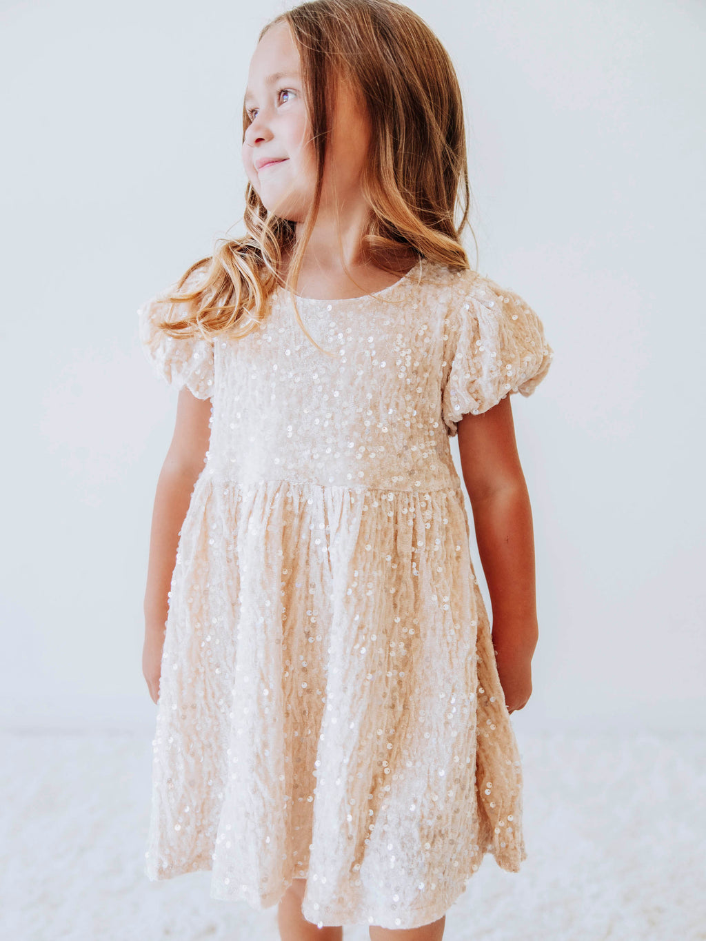 Sequin Dress - Champagne Sparkle Polyester Lined Zip Puff Sleeve