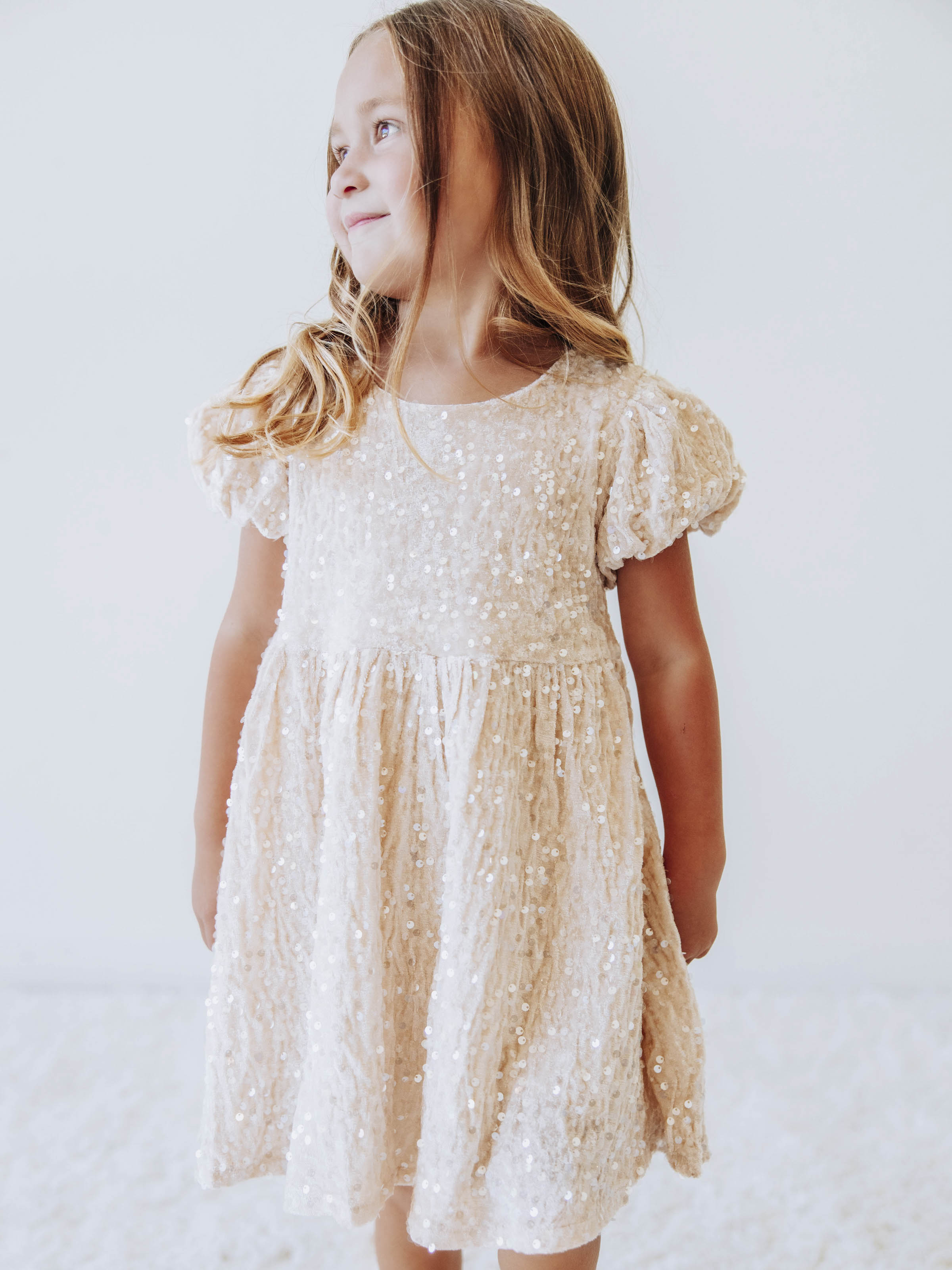 Sequin Dress - Champagne Sparkle Polyester Lined Zip Puff Sleeve